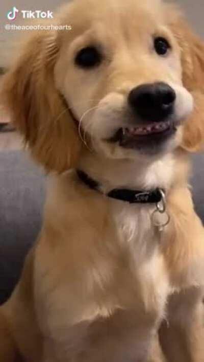 The answer's in the title