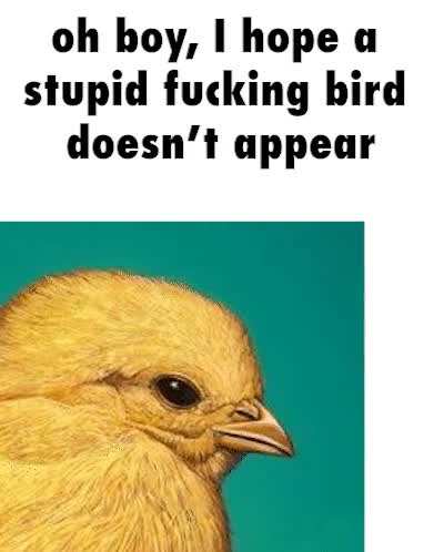 I hate that stupid fucking bird