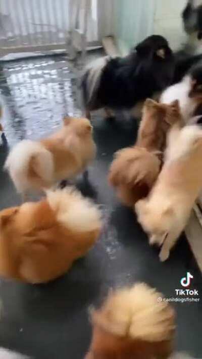 This video heals my soul.