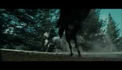 When you are chased by 9+ gankers in Red/Black