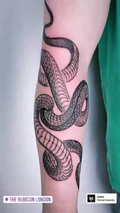 *Update* Martin Kelly - Snake & Dragon Symmetry.