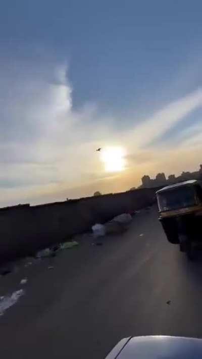 This is the best thing you’ll see all week!!