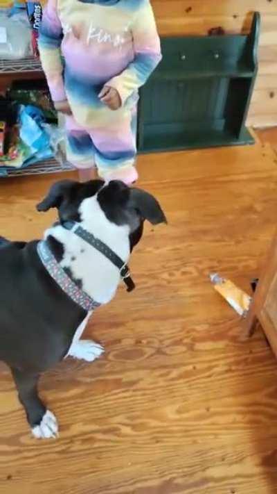 The pumpum got to go