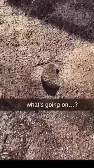 Drake the type to have this happen to him