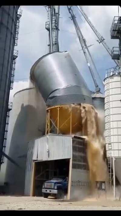 I'm from the city. I didn't know grain could do this.