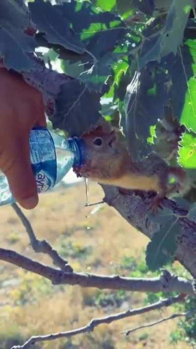 It is free to be kind..