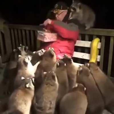 Dinner is getting served