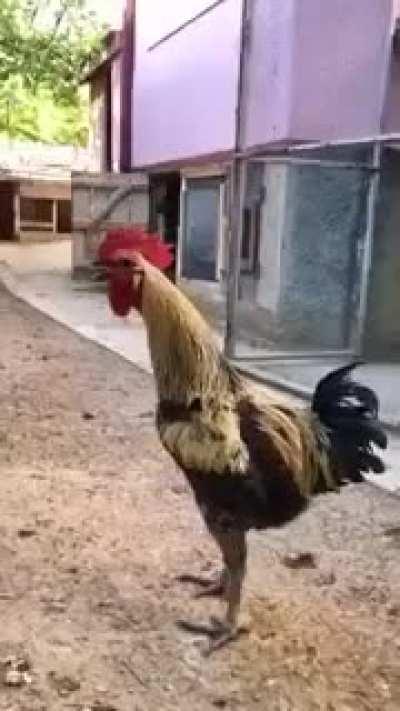 When you nut but she keeps sucking