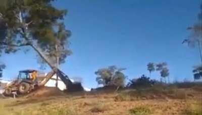 haha That dude got uprooted.