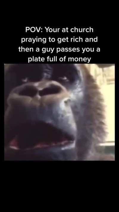 A blessing from the heavens.