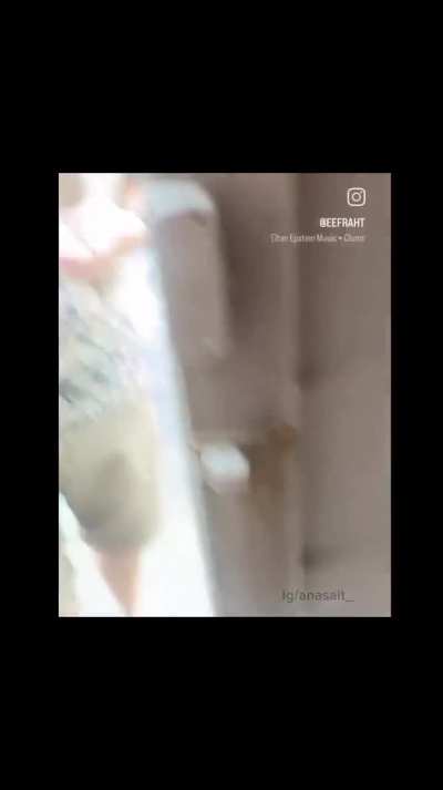 Fuck around and find out 😂