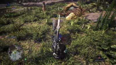 Proper way to start a hunt