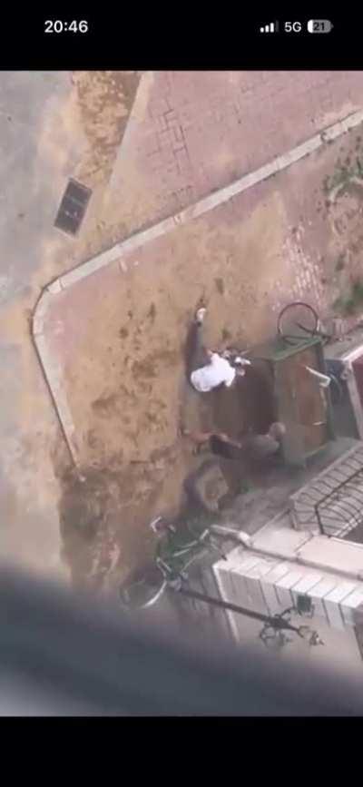 我在沈阳大街等你