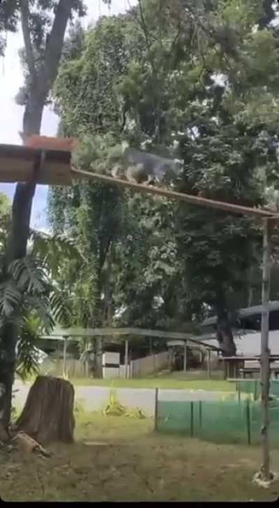 Overhead Fertilizer Unit