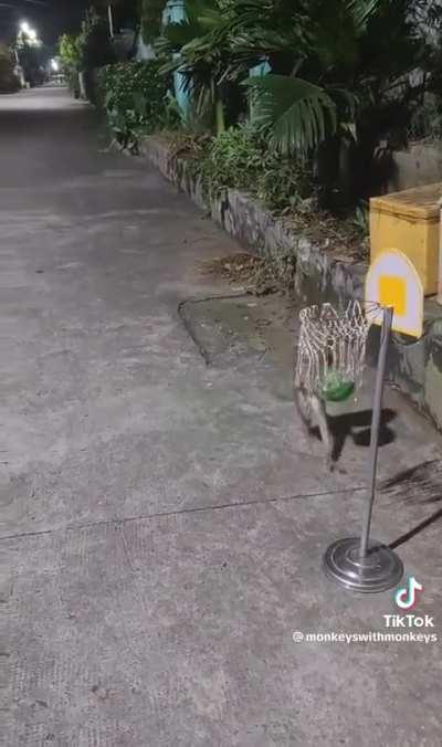 a wholesome meme to break up the shitposts.