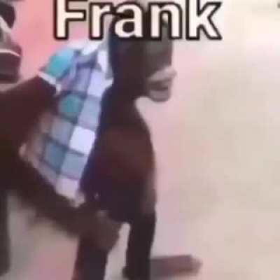 Say Hi to Frank