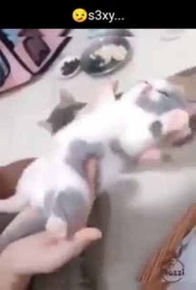 ESTILOZAP - Video #1467