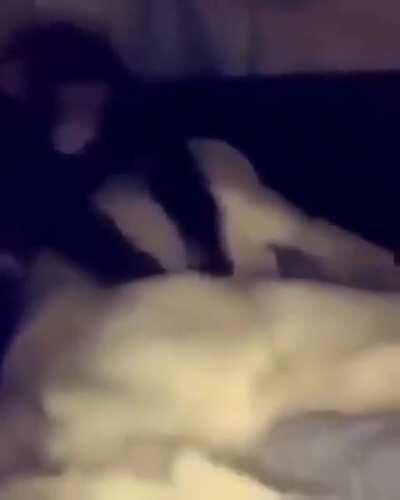 The lion is no match for monkey