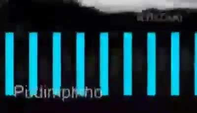 Mamaco morreu de CHHOOOOO QUE