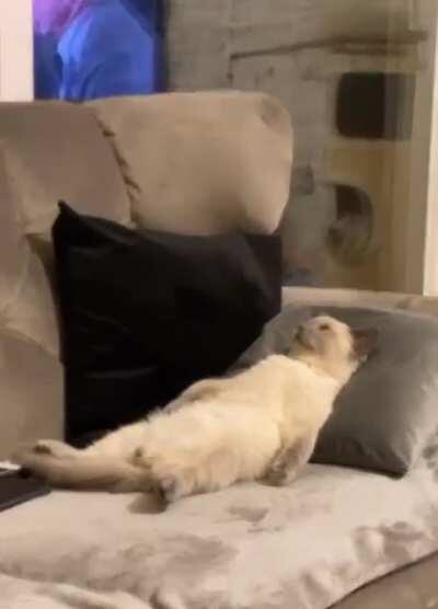 After a long day at work..