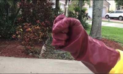 Found This Video In My Album From Two Years Ago