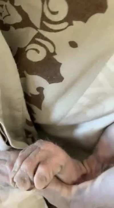 The only time Mouse doesn’t look grumpy is when she gets belly rubs