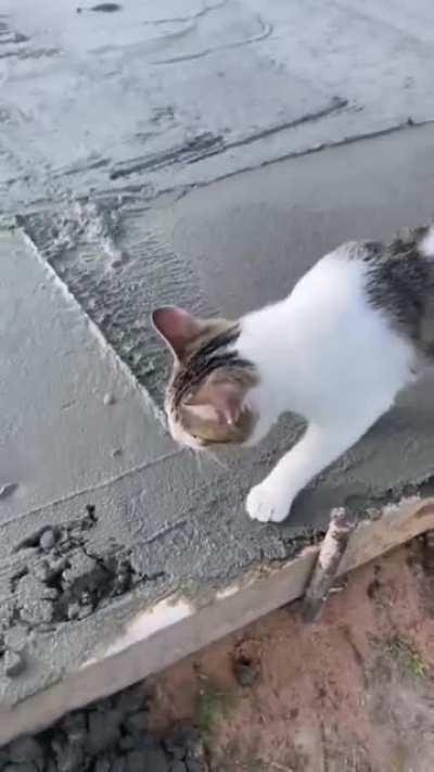 You missed a spot here and here and here