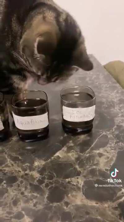 Such a fine taster😂this made me laugh really hard