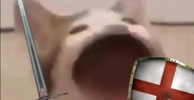 When there is horny you must stop it