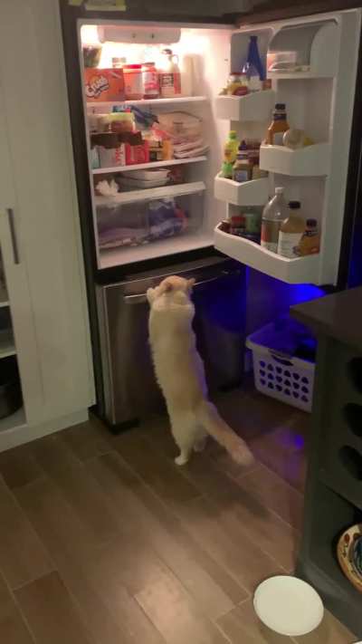 He’s taking over. I turned around for one second to put something on the counter…..
