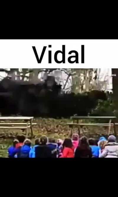 Vidal