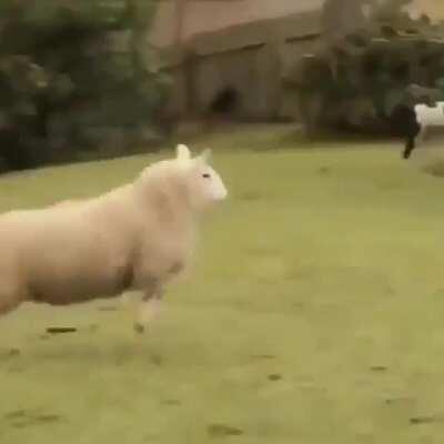 Quando sai vídeo do Luba: