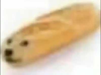 aweonasogang - Video #1809