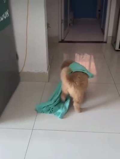 what would you name this baby?