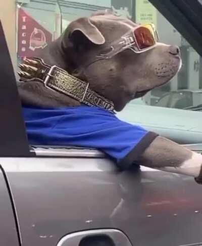 This guy was a badass