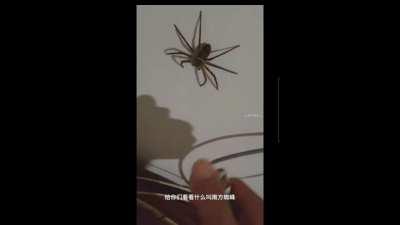 South China Dorms be like....