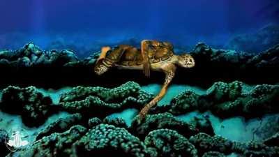 That Girl Right There