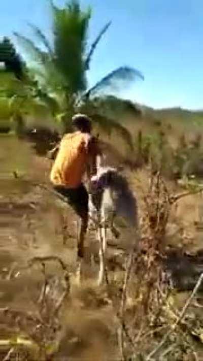 Want to be cruel to me? Fuck you too.