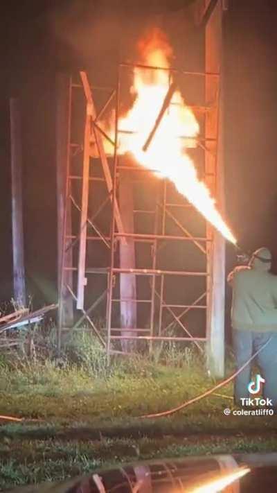 Proper extermination techniques 