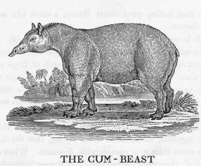 Shanye’s Flesh Transformation be like: