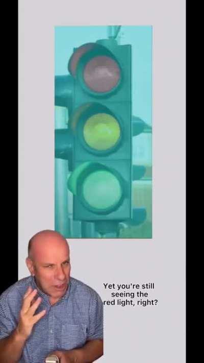 don't trust your brain