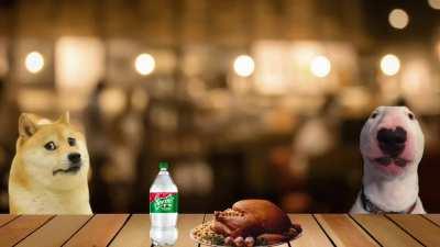 Doge's Extremely Late Thanksgiving 2021