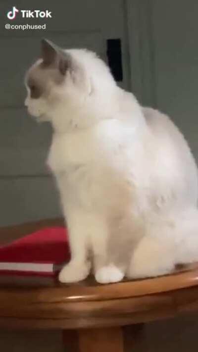 Apparently he doesn’t handle attention well