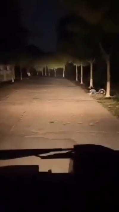 This one has a special place in hell