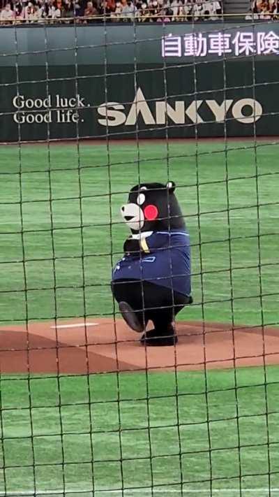 [Highlight] Kumamon throws out the first pitch before a baseball game in Japan on Saturday