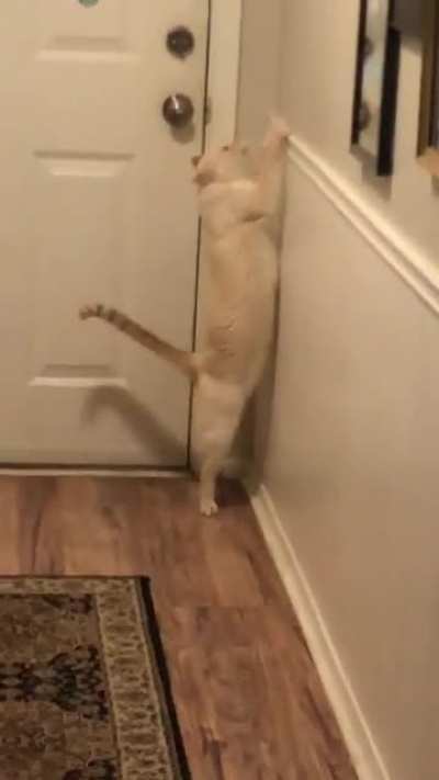 Greebles got the Sasquatch (Sound on)