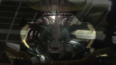 Staring contest gone wrong