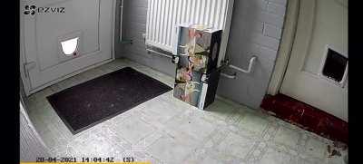 HMC while I scare my owners with a live magpie (sound on)