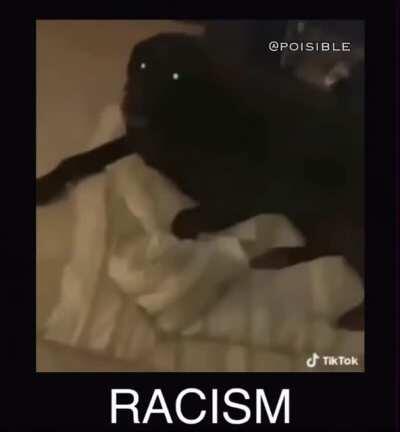 racism to dog
