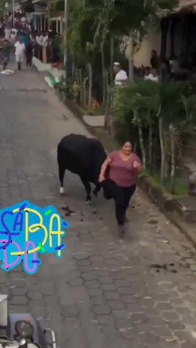 Joing a running of the bulls festival